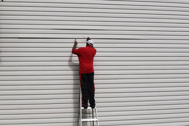Best Stone Veneer Siding  in Walford, IA